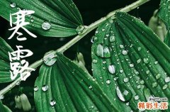 2024年寒露是什么时候时间 2024年寒露适合动土吗