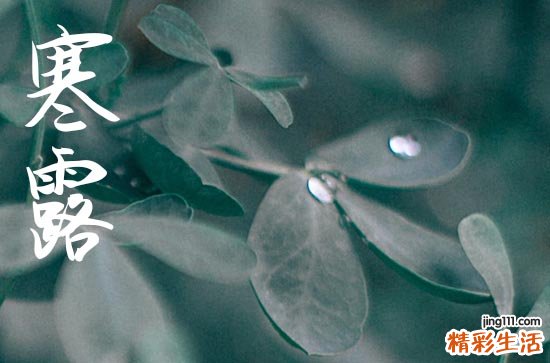 2024年什么时候寒露 2024年寒露是结婚的好日子吗