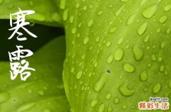 2024年农历几号寒露 2024年寒露适合迁居吗