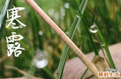 寒露是2024的几月几日 2024年寒露装修开工好不好