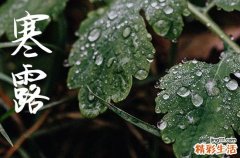 2024年农历几号寒露 2024年寒露下葬可以吗