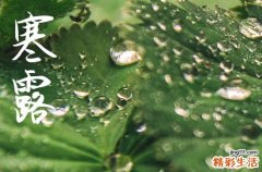 2024年寒露农历时间 2024寒露那天谢土好不好