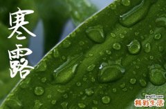 寒露是2024的几月几日 2024年寒露弄作梁适合吗