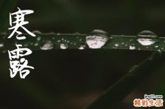 2024年寒露是几月几日 2024寒露那天作灶好不好