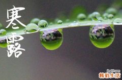 2024寒露是农历哪一天 2024年寒露安葬行不行