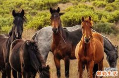 2024年10月属马入宅吉日一览表 属马最好的入宅吉日2024年10月