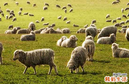 2024属羊搬家入宅吉日一览表 2024年10月属羊搬家入宅吉日一览