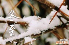 2024年农历冬至是哪一天