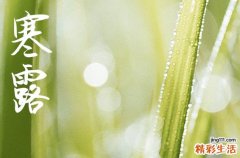 2024年寒露农历时间 2024年寒露适合装修开工吗