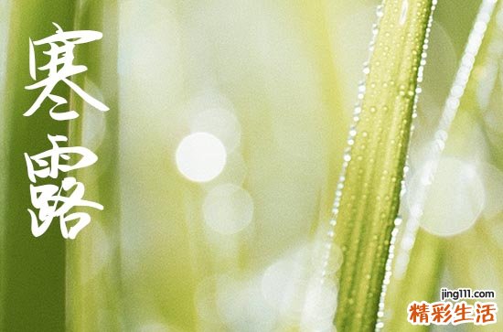 2024年寒露农历时间 2024年寒露适合装修开工吗