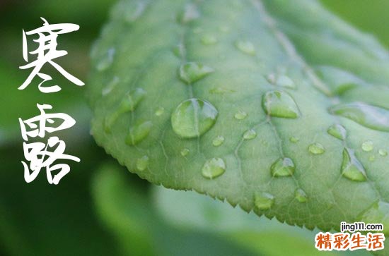 2024年寒露是多少号 2024年寒露可以谢土吗