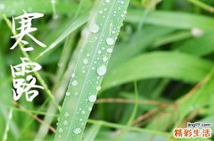 寒露是2024的几月几日 2024年寒露开业吉祥吗