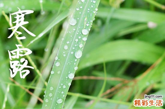 寒露是2024的几月几日 2024年寒露开业吉祥吗