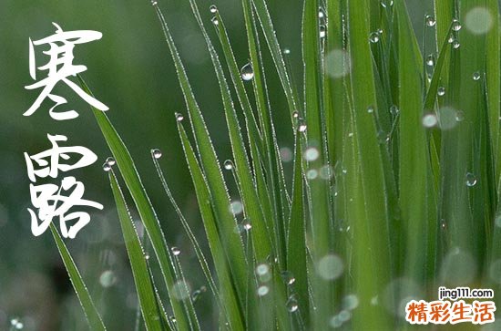 2024年农历几号寒露 2024年寒露开光好不好