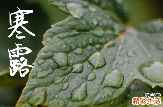 寒露是2024的几月几日 2024年寒露结婚好不好