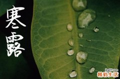 寒露是几月几号2024年 2024寒露那天入宅好不好