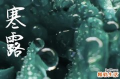 2024年寒露是几点几分几秒 2024年寒露弄动土好不好