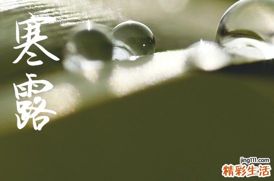 2024年寒露是几点几分几秒 2024年寒露作梁行不行