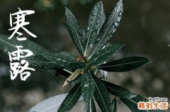 2024年寒露是几点几分几秒 2024寒露那天祈福好不好