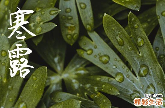 2024年寒露是星期几 2024年寒露提车行不行