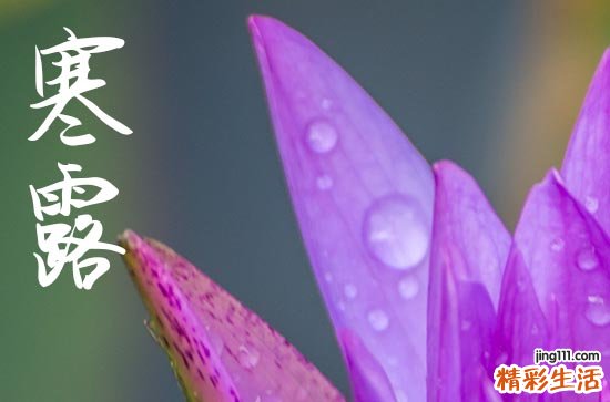 2024年寒露时间是什么时候 2024寒露当天可以装修开工吗