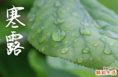 2024年什么时候寒露 2024年寒露迁坟行不行