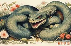 屬蛇出生不好六個日子 屬蛇人最苦命的出生日