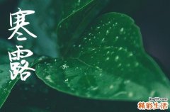 2024年寒露是什么時候時間 2024年寒露能裝修嗎