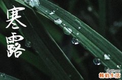 2024寒露是农历哪一天 2024年寒露开张吉祥吗