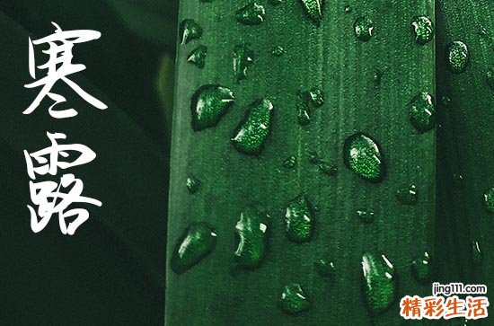 2024寒露是农历哪一天 2024年寒露拆迁合适吗