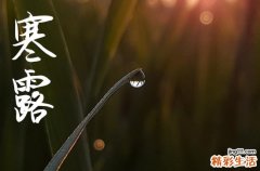 2024年寒露是几月几日 2024年寒露能祈福吗