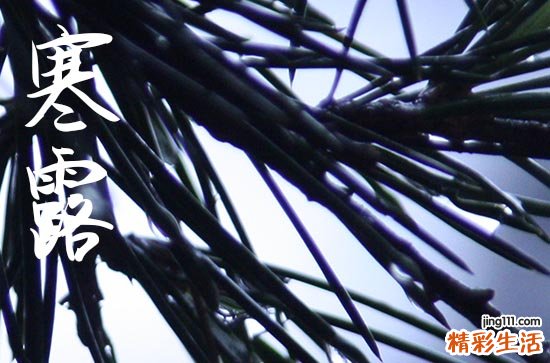 寒露是几月几号2024年 2024寒露生子好吗