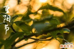 2024年重阳节农历时间 2024年重阳节入土是吉日吗