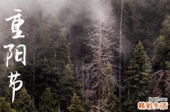 2024年什么时候重阳节 重阳节是入棺的吉日吗2024