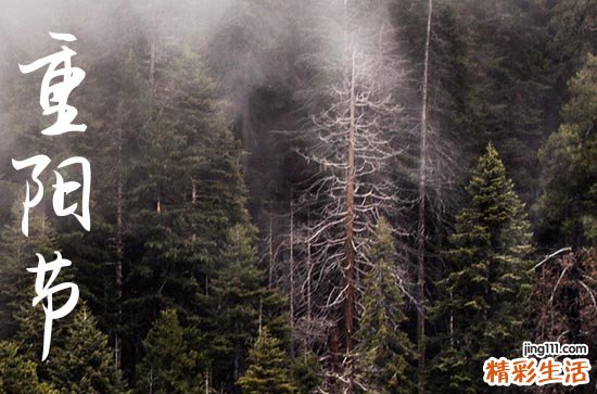 2024年什么时候重阳节 重阳节是入棺的吉日吗2024