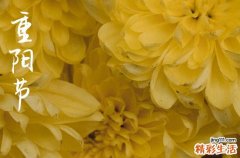 2024年什么时候重阳节 2024年重阳节是开市的好日子吗