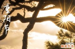 2024年重阳节几月几日 2024年重阳节适合打水井吗