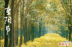 2024年重阳节是多少号 2024年重阳节是拆墙的黄道吉日吗