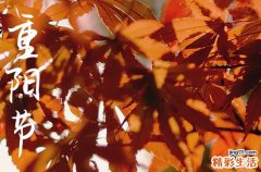 2024年重阳节几月几日 2024年重阳节拆迁可以吗