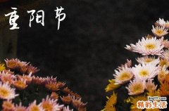 2024年什么时候重阳节 2024年重阳节是提亲吉日吗