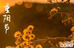 2024年什么时候重阳节 2024年重阳节适合搬家入宅吗