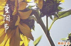 重阳节2024年是几月几日星期几 2024年重阳节是玉石开光的黄道吉日吗