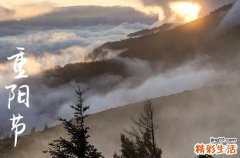 重阳节2024年是几月几日星期几 2024年重阳节能理发吗