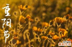 2024年重阳节几月几日 2024年重阳节百日宴可以吗