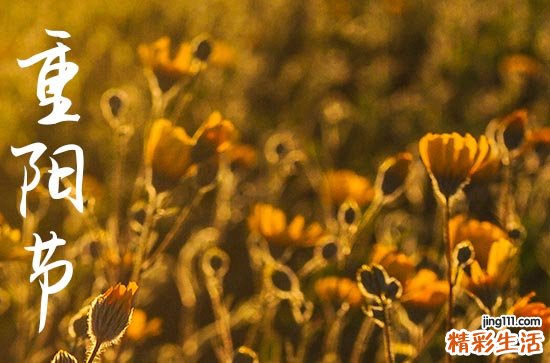 2024年重阳节几月几日 2024年重阳节百日宴可以吗