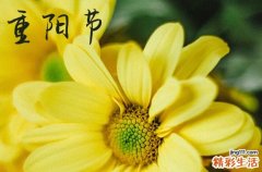2024年什么时候重阳节 2024年重阳节认义子是吉日吗