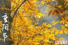 2024年重阳节农历时间 2024年重阳节是认义女吉日吗
