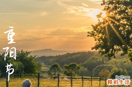 2024年重阳节农历时间 2024年重阳节送葬好吗