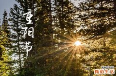 重阳节2024年是几月几日星期几 2024重阳节当天可以结婚领证吗