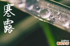 2024年寒露是哪一天 2024年寒露开业吉利吗